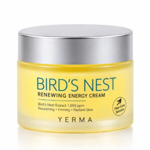 Bird Nest